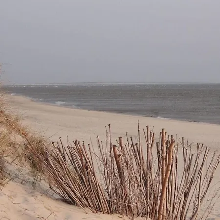 Sea View - Tower A 4 04 Nyaraló