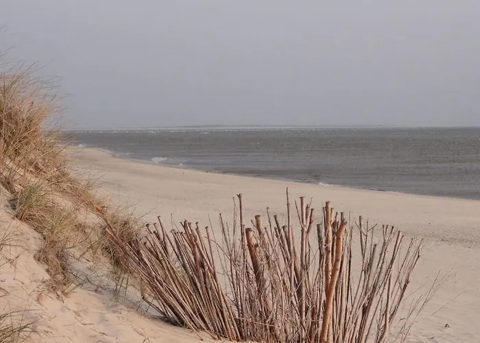 Sea View - Tower A 4 04 Tatil Evi